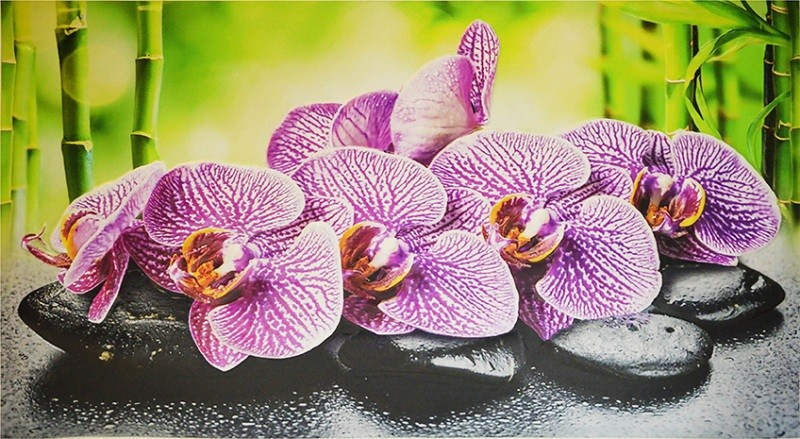 Фартук-панно ПВХ Орхидея ванда 1002*602мм  фото 1