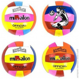 Мяч Волейбольный E21811 DM-331