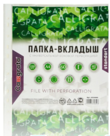 Файл-вкладыш А4, 40 мкм, Calligrata, глянцевый, вертикальный, 100 штук 6534840