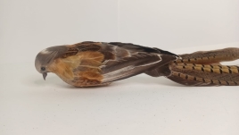 Птичка фазан 47см 22-358 (2)