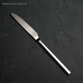 Нож столовый "Тайфун" 22,5 см    4569601