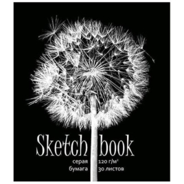 Скетчбук, серая бумага 120г/м2, А5, 30л, спираль сверху, без линовки, обложка - мелованный картон, ж