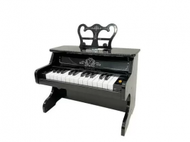 Музыкальный детский центр-пианино Everflo Keys HS0373021 black
