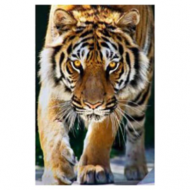 Картина алмазная " Рыжий кот " 30*40см Взгляд благородного тигра, с полным заполнением, без подрамни