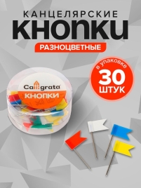 Кнопки Флажки цветные в пластиковой коробке 30 штук 545022