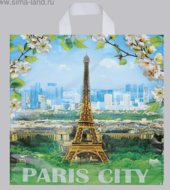 Пакет "Цветущий город", полиэтиленовый с петлевой ручкой, 38х42 см, 40 мкм 5860335