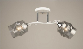 "Д-W3051/2 WH+CR (10) светильник потолочный [01103077]