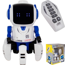 Робот р/у MK1066A Mr Boy Гексабот в кор.Предназначен для детей в качестве игрушки,Материал: пластик,