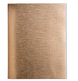 Тетрадь А5  48л линия " Hatber " бумвинил Metallic Золото, офсет, на скобе