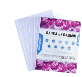 Файл-вкладыш А4, 100 мкм, Calligrata, ПВХ, матовый, вертикальный, 10 штук 10175082