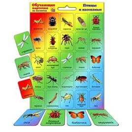 Карточки " Рыжий кот " на магнитах Птицы и насекомые, состав набора: 50 карточек из картона 4*5,5 см