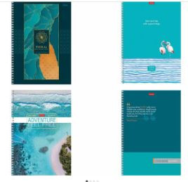 Тетрадь А4  80л " Hatber " спираль линия Ассорти, офсет, обложка - мелованный картон, перфорация для