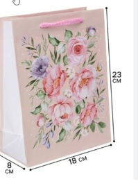 Пакет ламинированный Present for you, MS 18 х 23 х 8 см   6582658