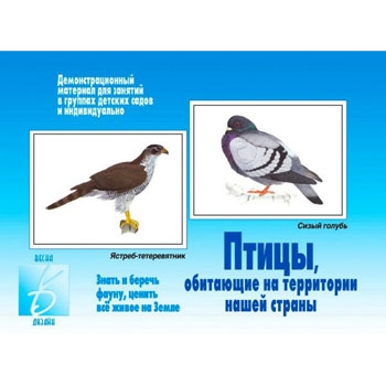Демонстрационный материал " Птицы нашей страны " для занятий в детских садах и индивидуально, папка+ фото 1