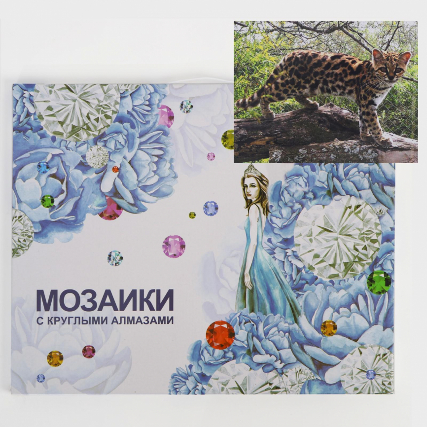 Алмазная мозаика с подрамником, полное заполнение «Молодой гепард» 40×50 см фото 1