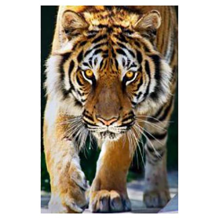 Картина алмазная " Рыжий кот " 30*40см Взгляд благородного тигра, с полным заполнением, без подрамни фото 1