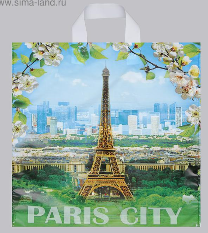 Пакет "Цветущий город", полиэтиленовый с петлевой ручкой, 38х42 см, 40 мкм 5860335 фото 1