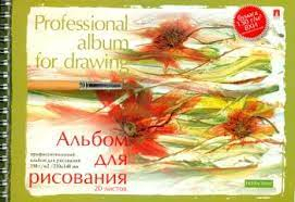 Альбом А5 20л спираль " Альт " Профессиональная, обложка - мелованный картон, выбочный лак, блок офс фото 1