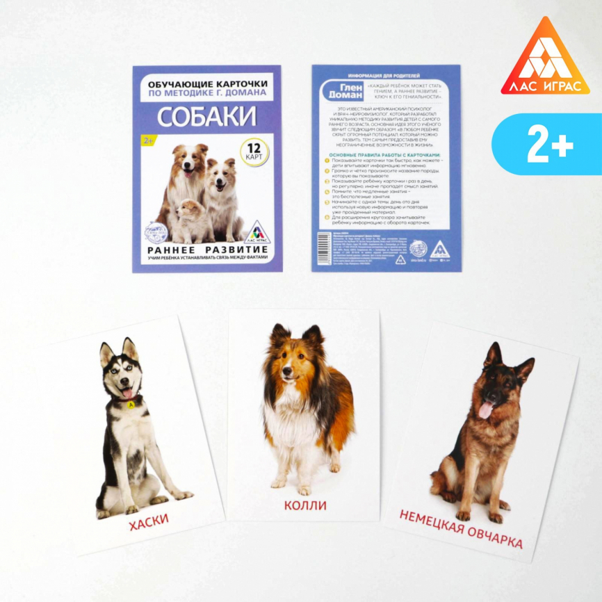 Обучающие карточки по методике Г. Домана «Собаки», 10 карт, А6 фото 1