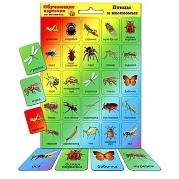 Карточки " Рыжий кот " на магнитах Птицы и насекомые, состав набора: 50 карточек из картона 4*5,5 см фото 1